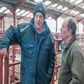 Sheep show and sale (17)